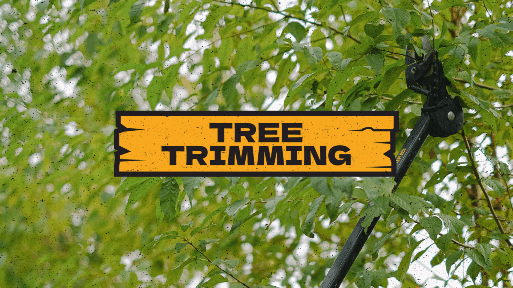 Tree Fellas Tree Trimming