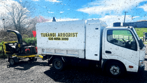 Tree Fellas Turangi Arborist Truck With Mulcher Trailer On Rural Property (1)