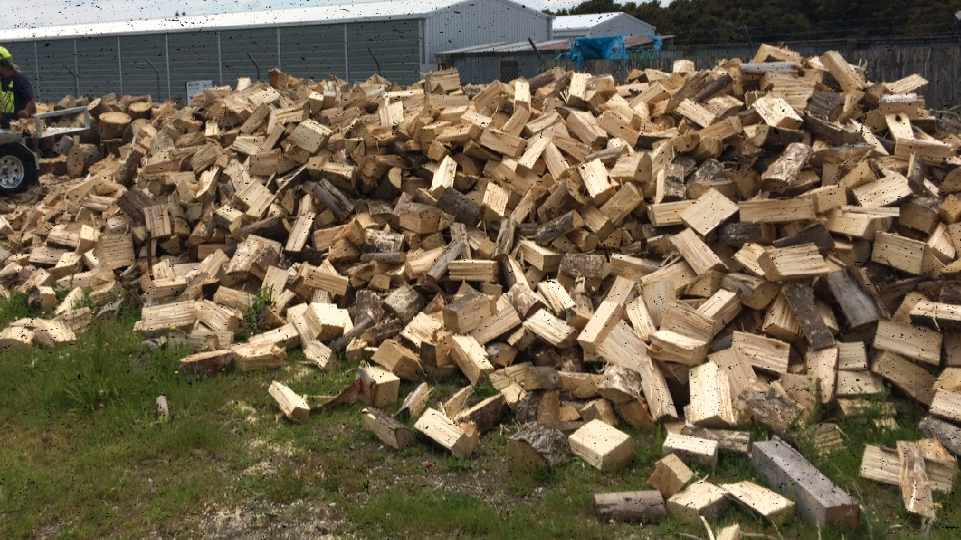Tree Fellas Firewood